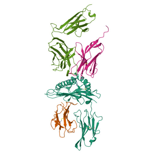 TCR-pMHC complex (PDB 1AO7)
