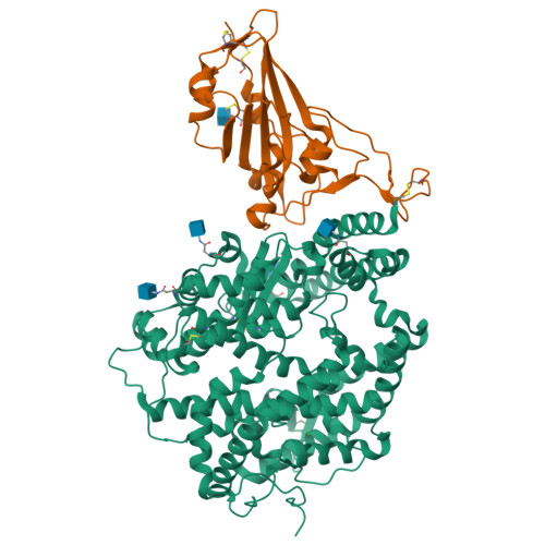 SARS-CoV-2 RBD · ACE2 (PDB 6M0J)