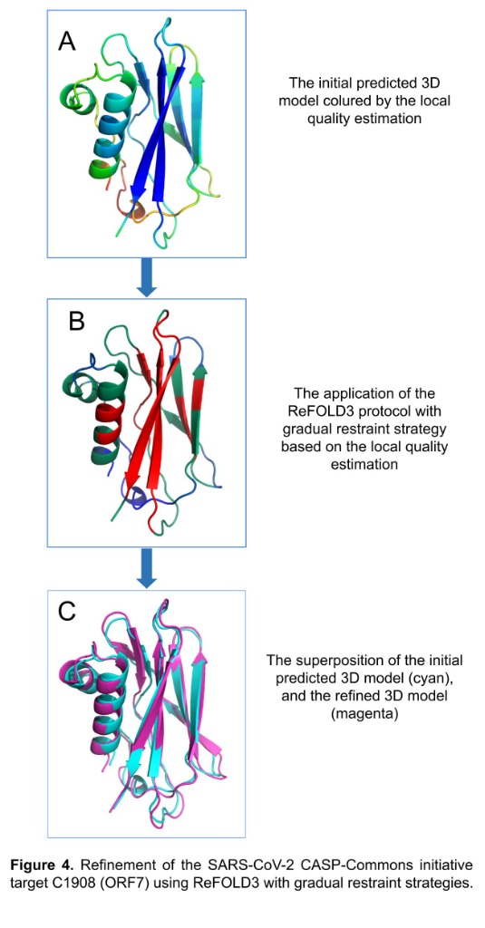 SARS-CoV-2 Refinement