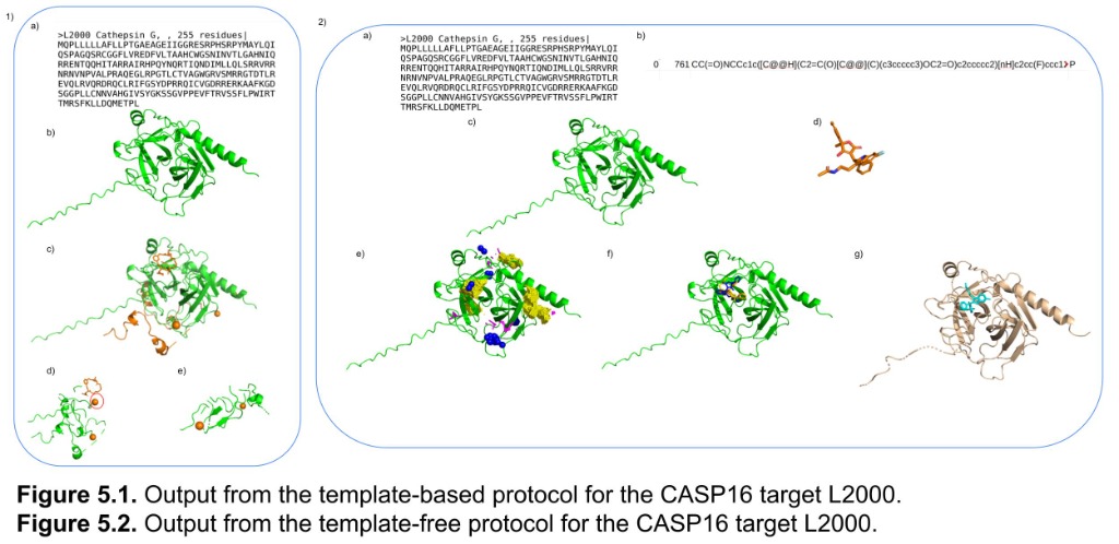 FunFOLD5 Protocols