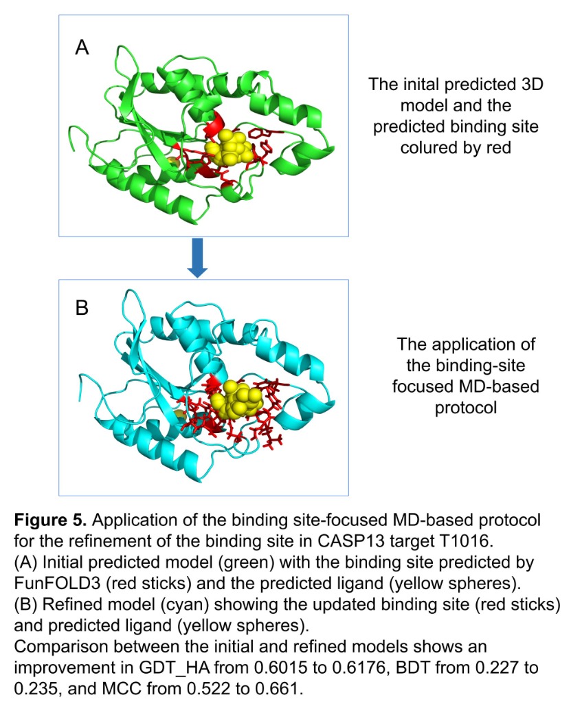 Binding Site Refinement